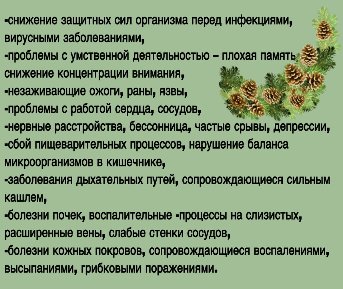 Полезные свойства почек