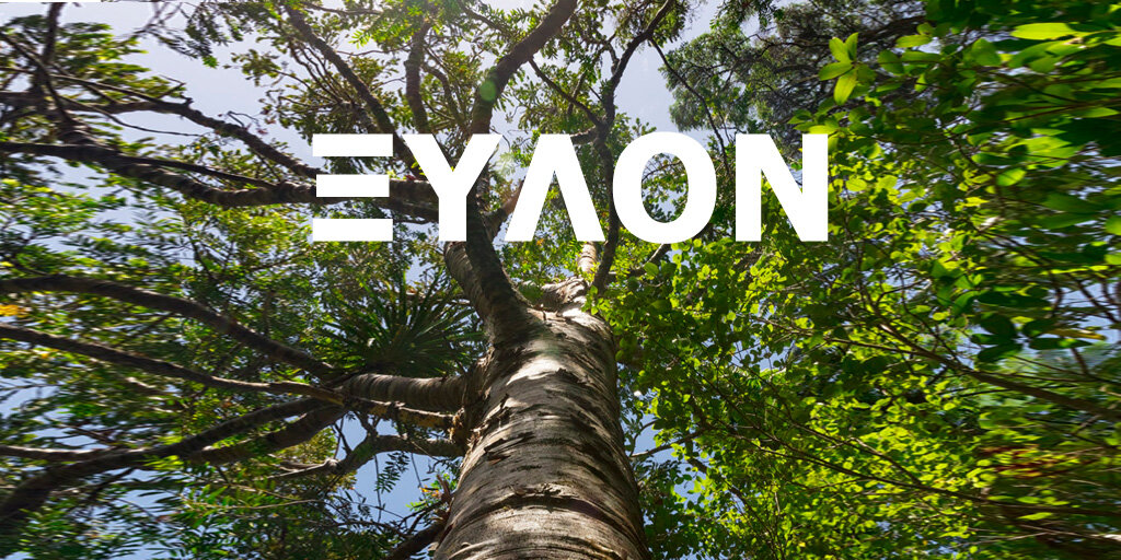 Фото с бесплатного сайта unsplash