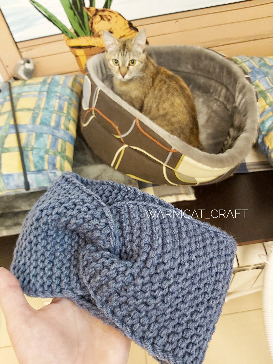 Фото сделано в котокафе "Soulmate"