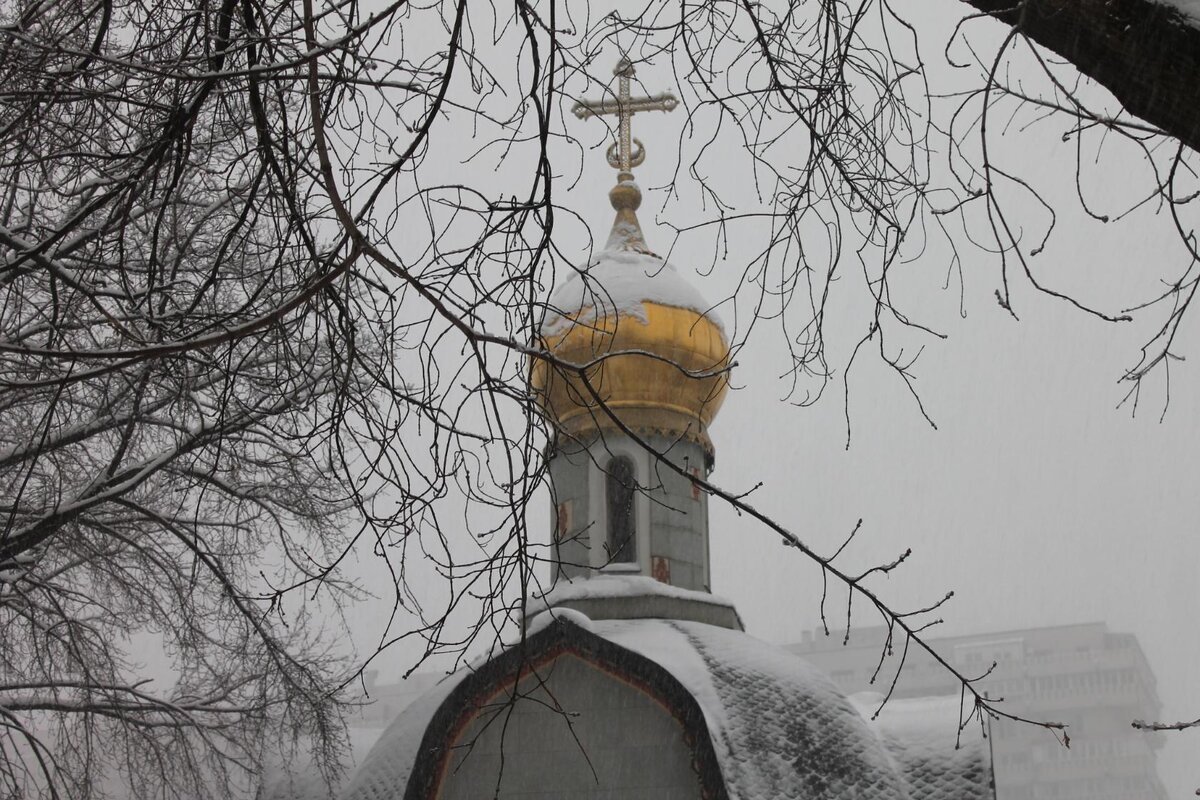 фото автора. Ещё в Москве...