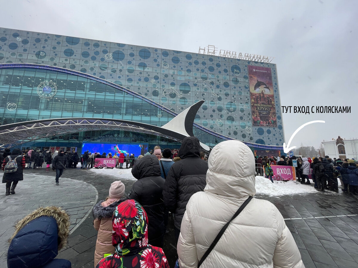 Съездили в самый большой аквариум в стране. Подводные камни Москвариума и  секреты, как обойти очереди | Мария Нефедова | Дзен