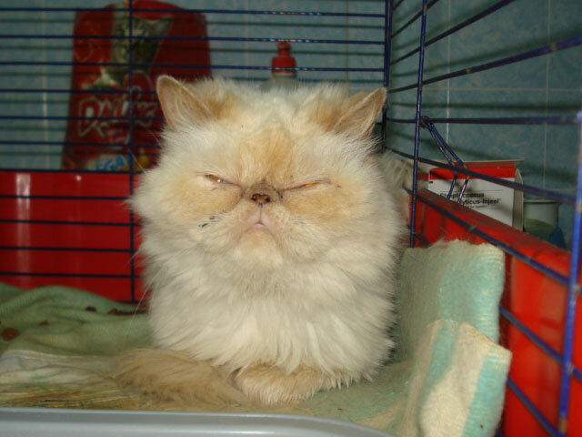 В стационаре