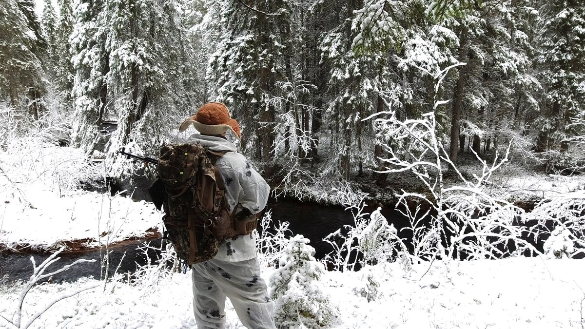 Фото из свободного доступа сети Интернет