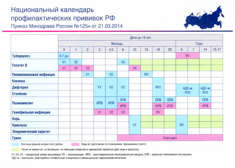 Презентация на тему календарь профилактических прививок