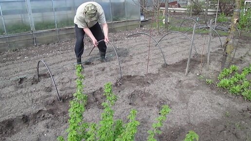 Парник из полипропиленовых труб своими руками: все тонкости возведения