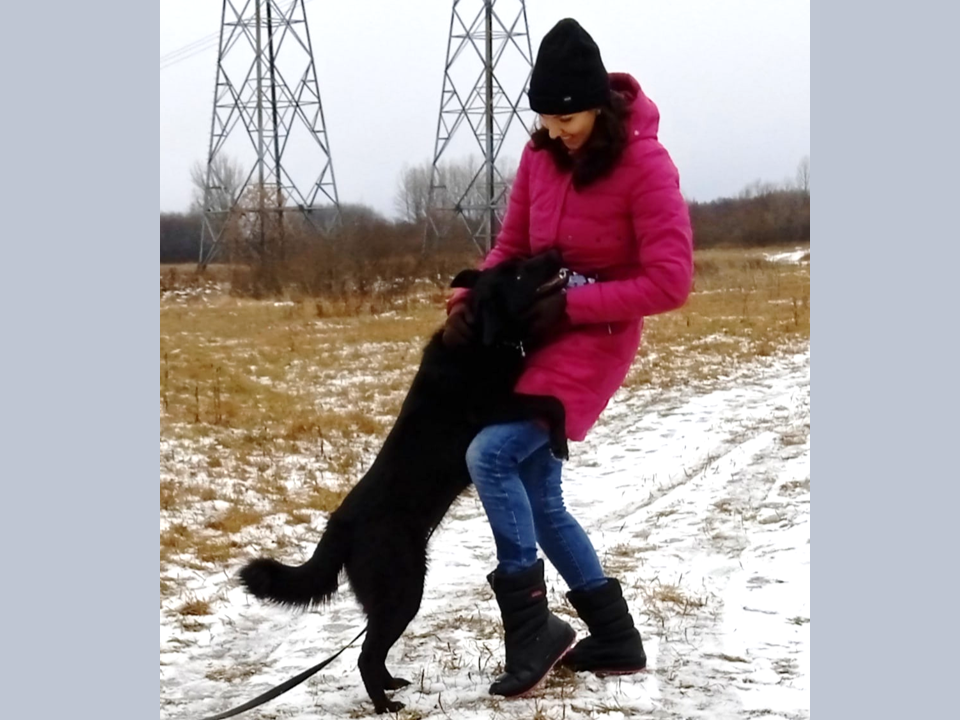 Сахара люби Дашу!