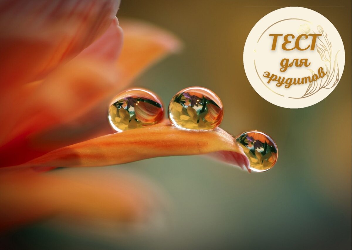 Источник изображения: pixabay.com, дизайн автора публикации