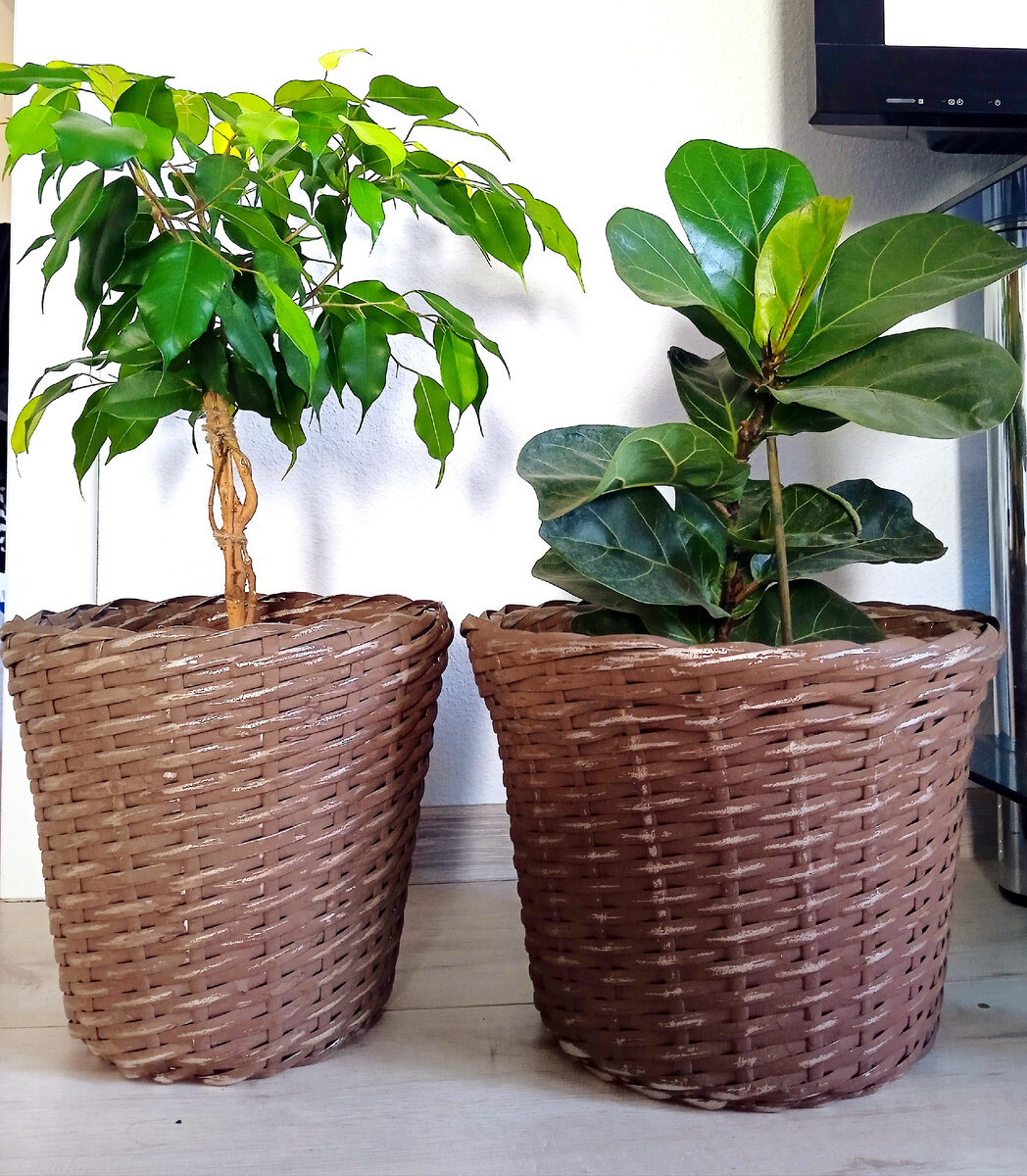 Красим купленное кашпо