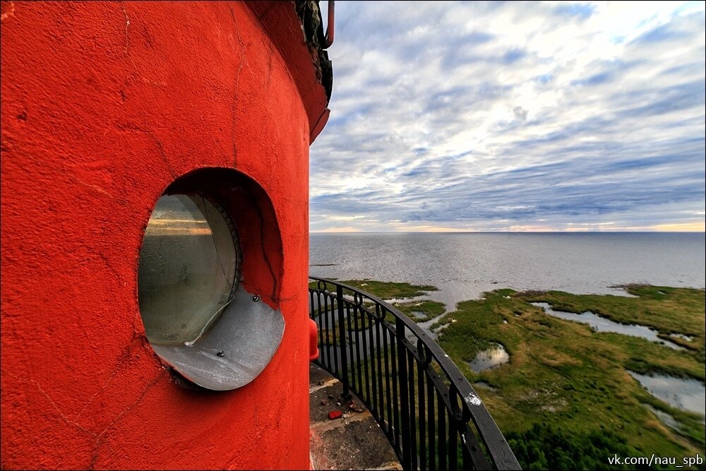 Источник фото - vk.com/nau_spb