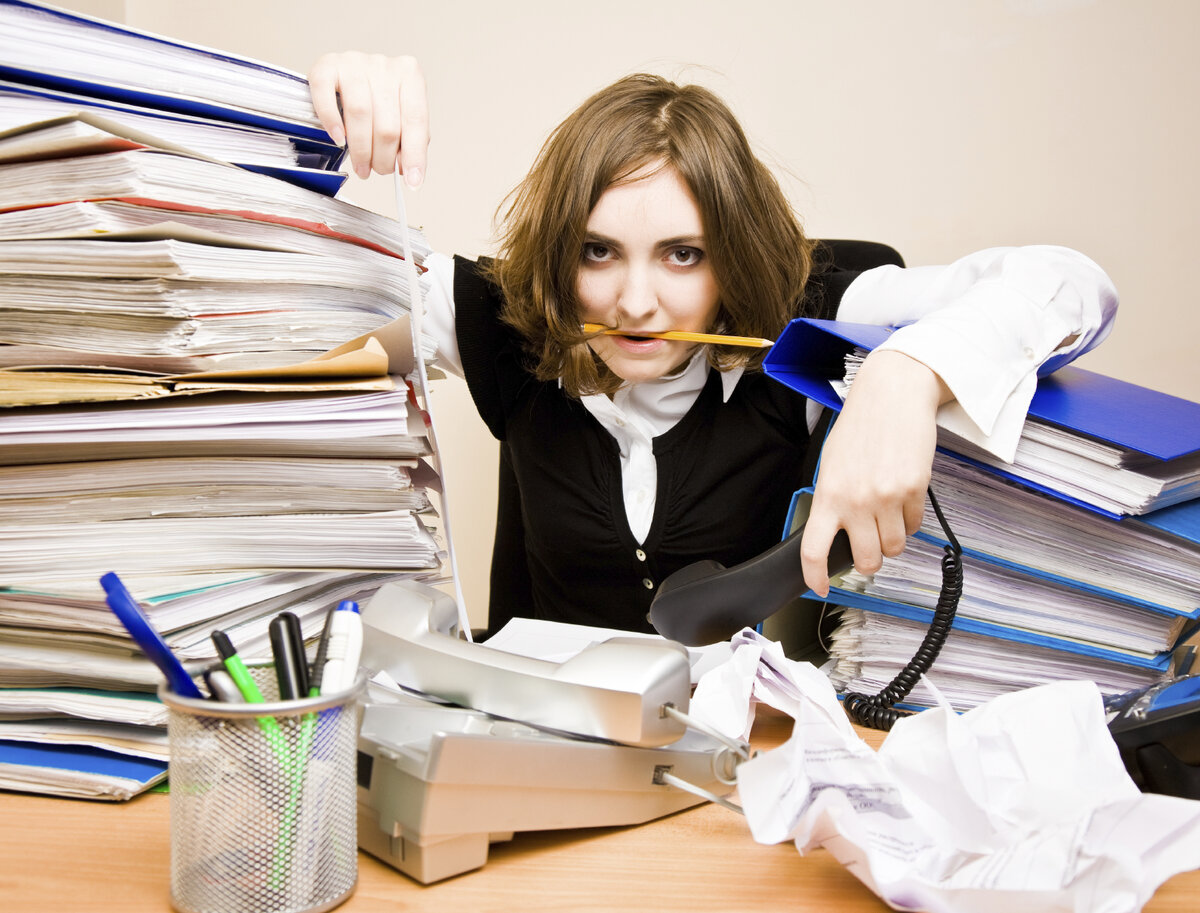 Фото из свободного доступа в интернет