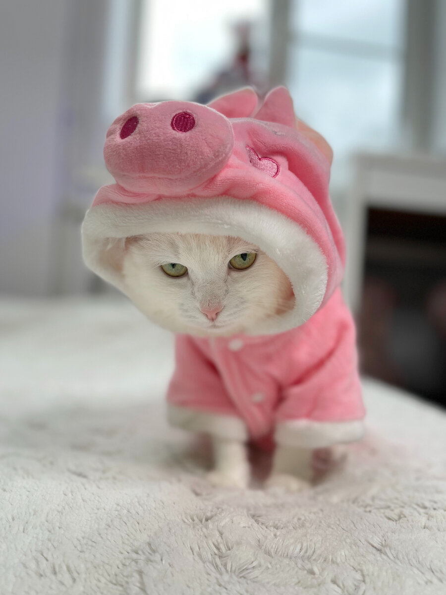 Фото для выработки окситоцина🥰