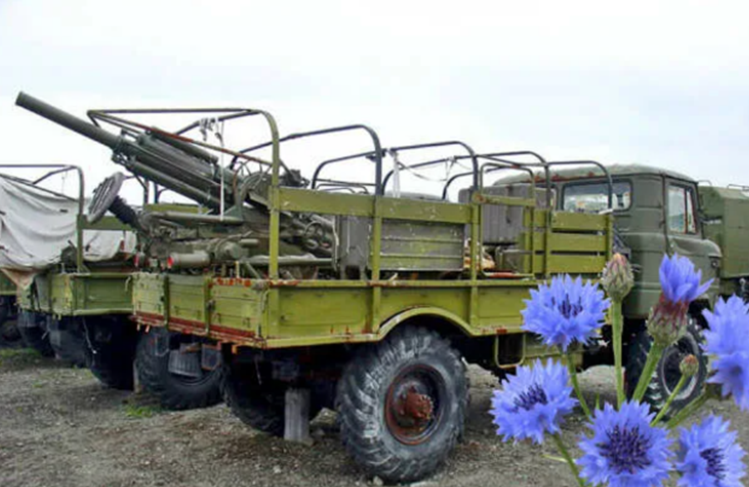 Такие вот васильки – луговой и 82-мм пятизарядный 