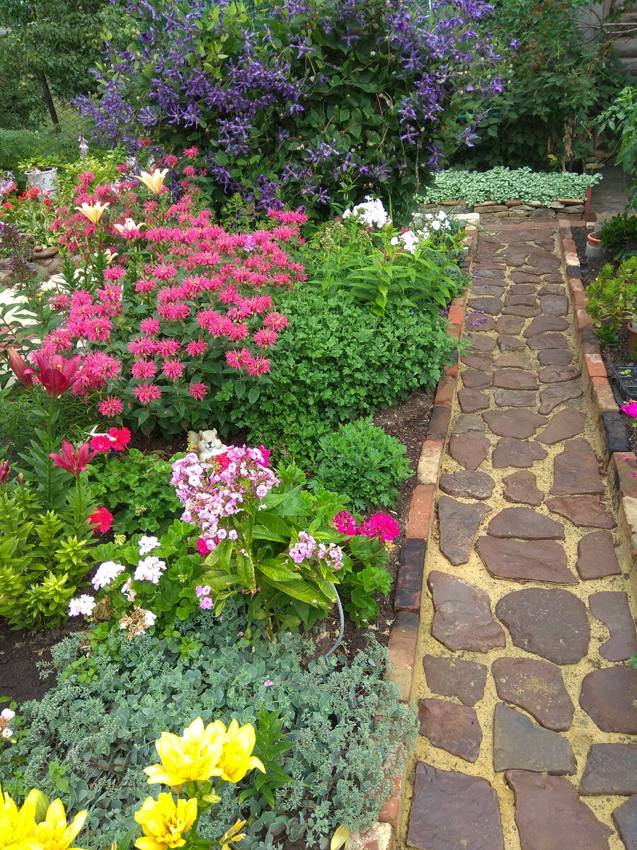 Фото автора. Согласитесь, что взгляд сразу падает на красное пятно на клумбе