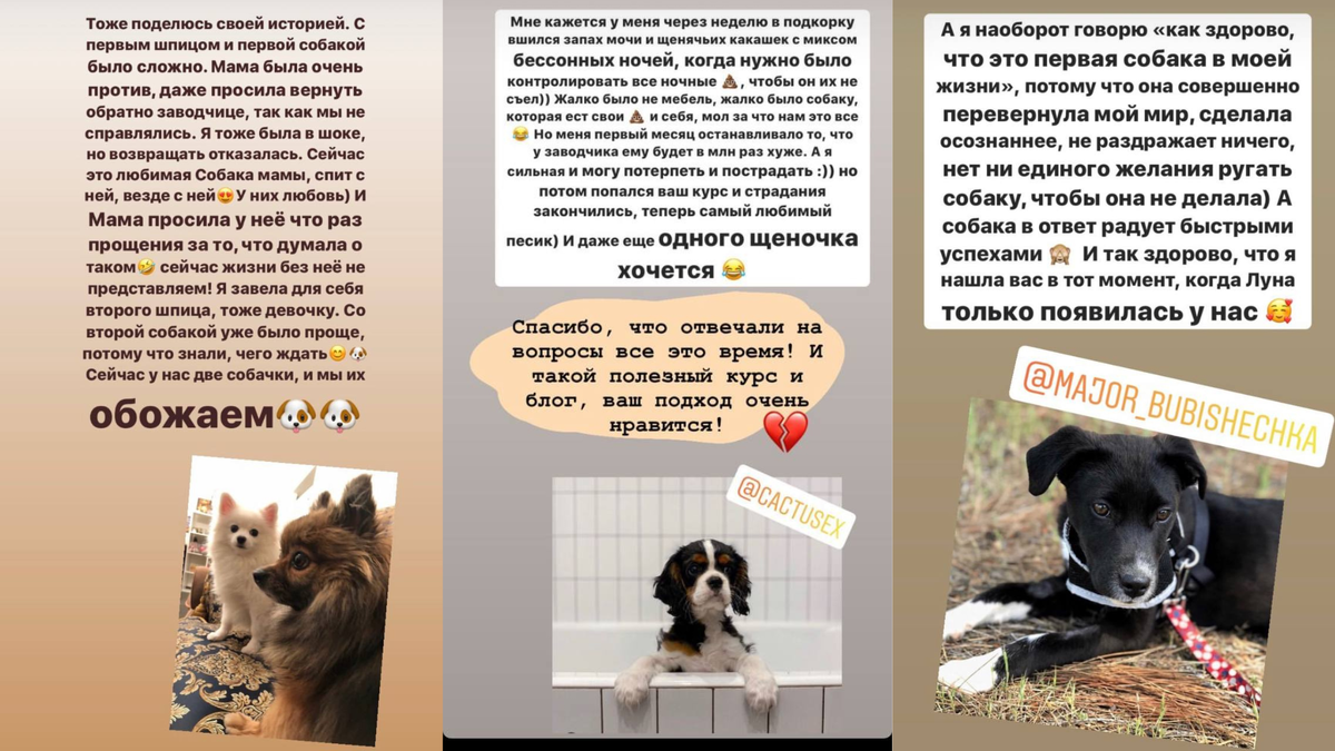 Листайте вправо, чтобы увидеть больше изображений