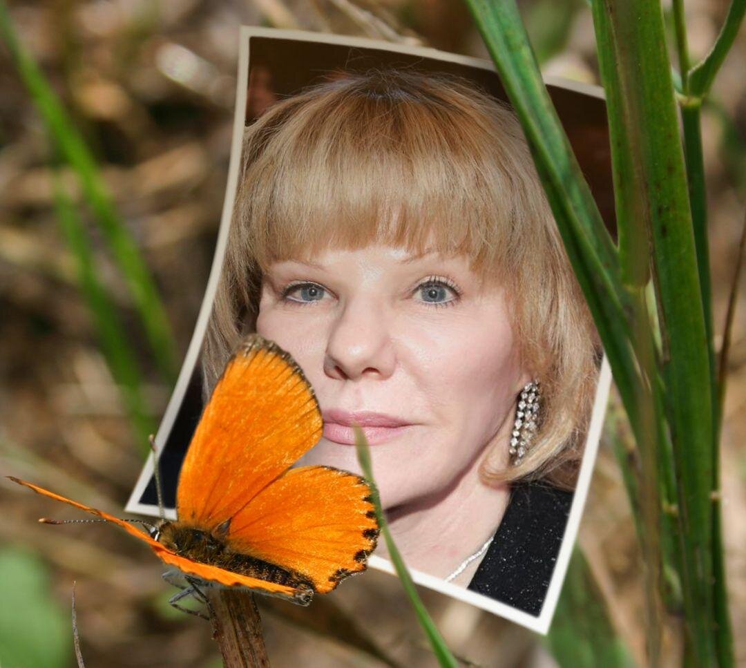 марина былинкина домашний арест. фифочка о всяком разном. женщина дипломат. фифочка о всяком разном. марина ракова.