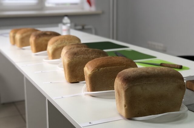    Фото: АиФ-Самара/ Екатерина Акимова