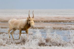    Фото: Андрей Гилёв