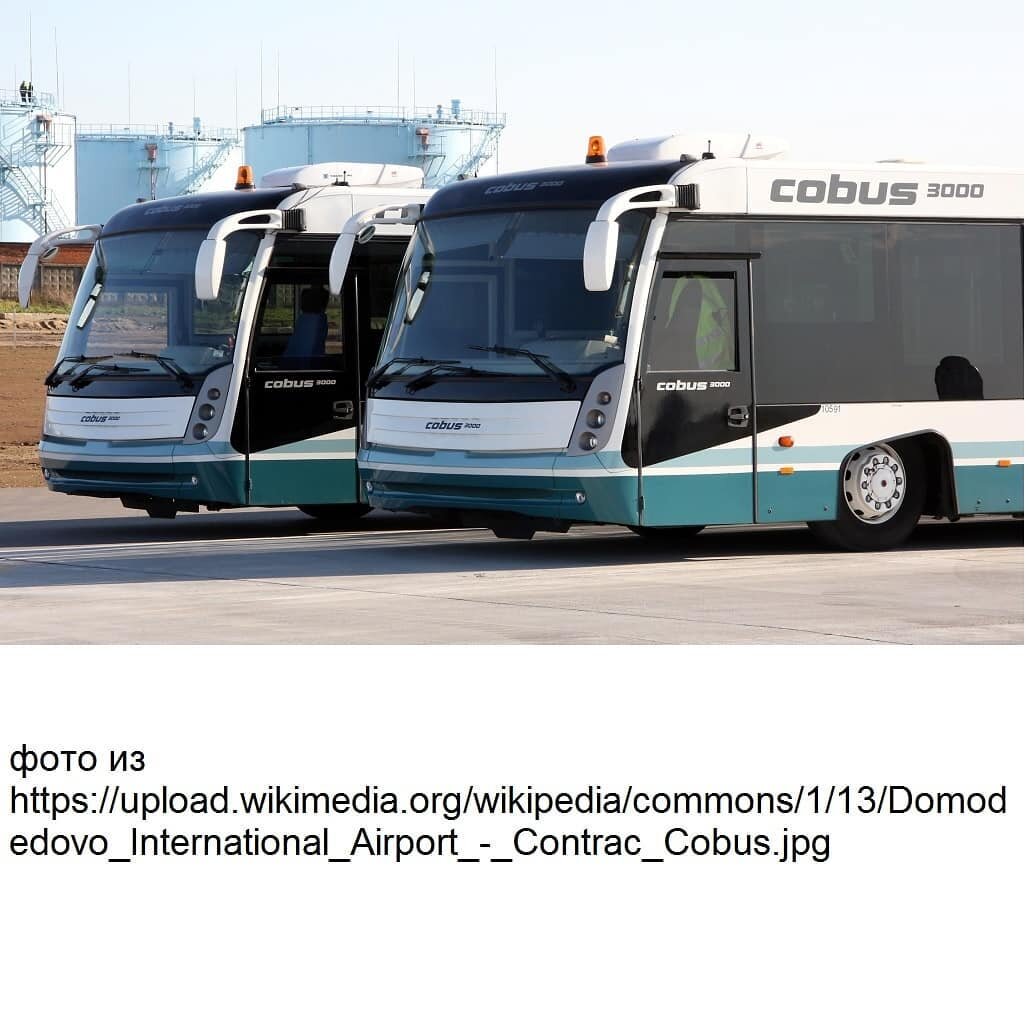 автобус кобус