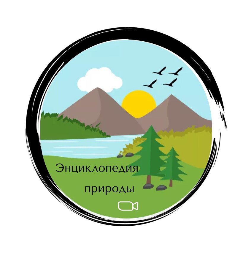 Энциклопедия природы