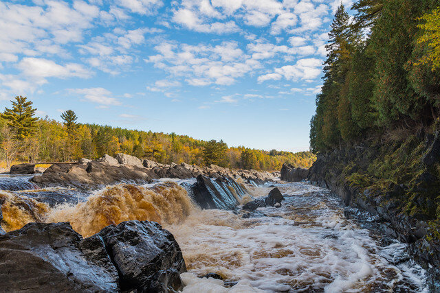 Девственные леса Коми — настоящая таежная сокровищница, которая раскинулась на западных склонах Северного и Приполярного Урала в Республике Коми. На территории первого природного объекта, включенного в список объектов Всемирного природного наследия ЮНЕСКО, произрастают около 200 видов редчайших представителей флоры, которые включены в Красную книгу.