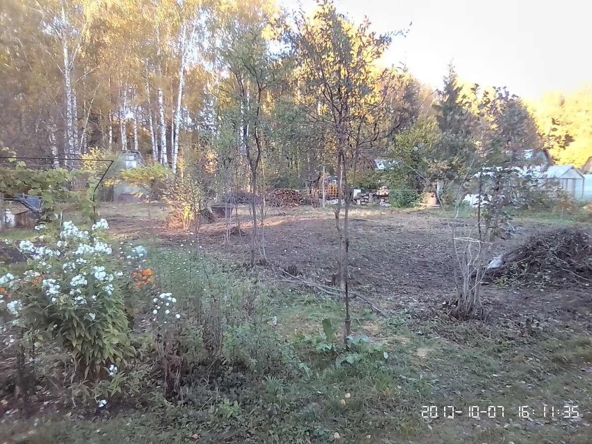 7 октября, этот же угол