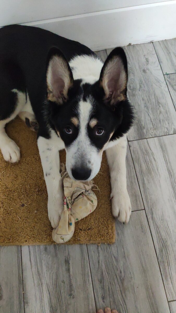 Я на тебя не давлю, но уже пора бы...