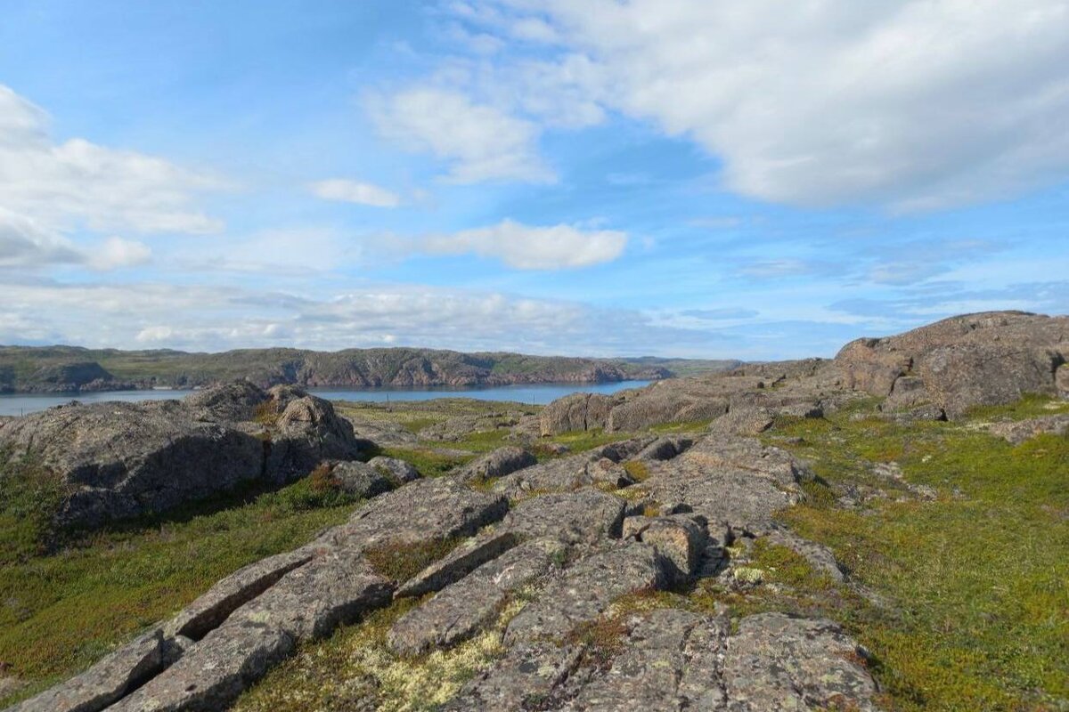 Дальние Зеленцы. Фото: Мария Подтяжкина