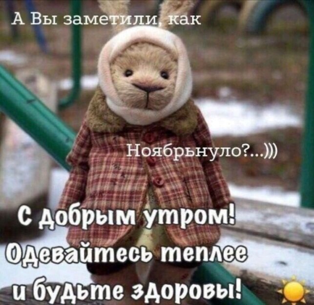 Картинка из Интернета 