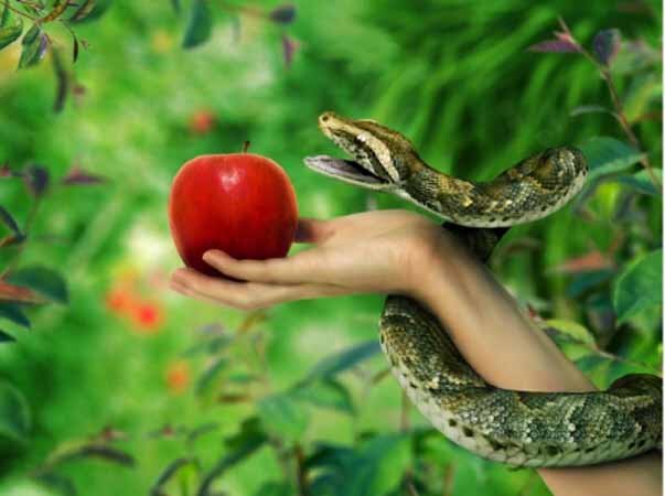 Станете как боги...