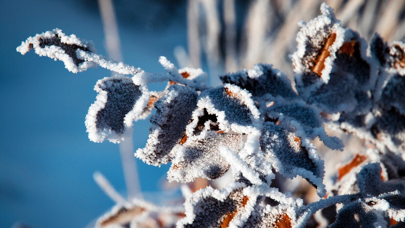   Gettyimages.ru Jozef Jankola / 500px