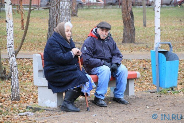 Дед и бабка на скамейке