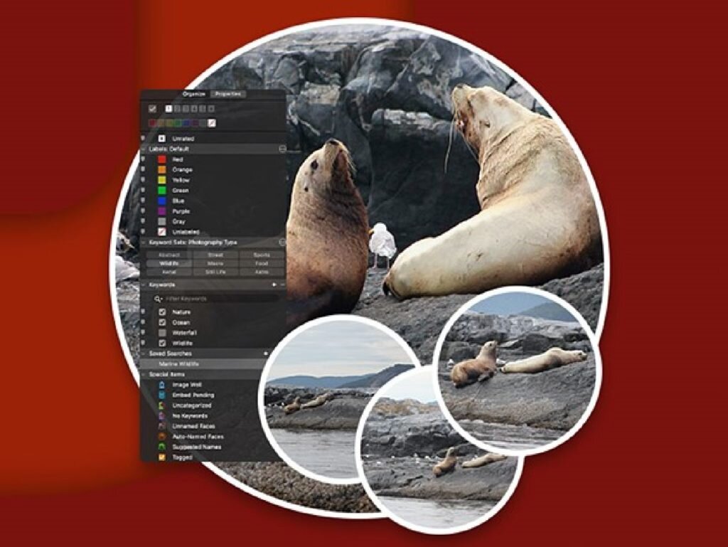     Фото: ACD Systems