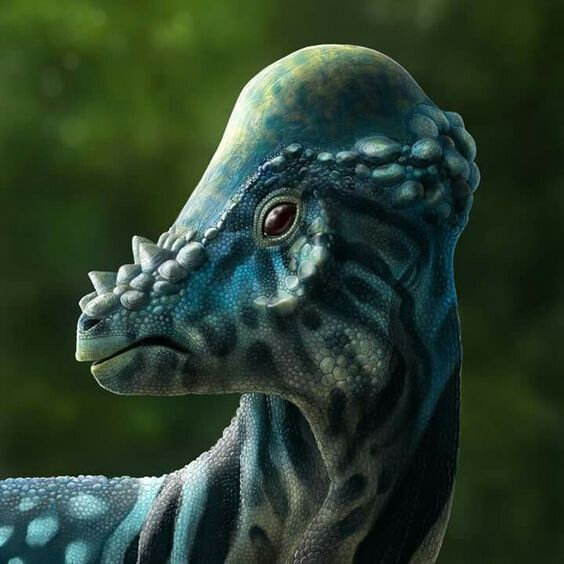 Вообще-то я рептилоид с планеты Нибиру.