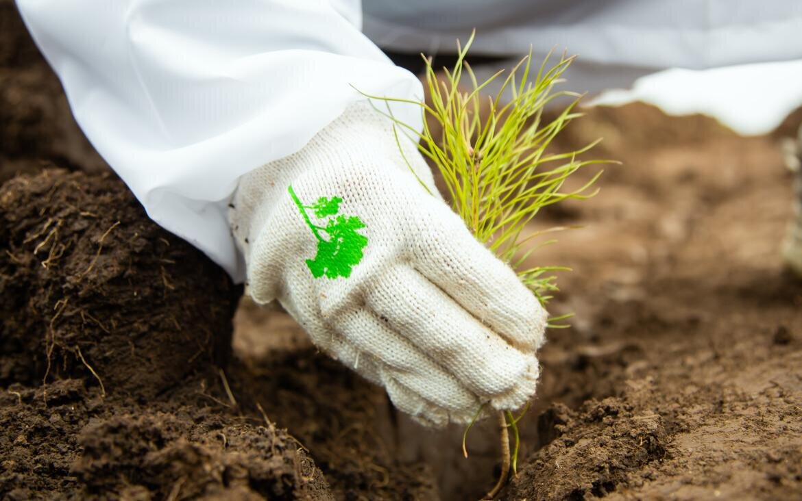   пресс-служба «Сибур»