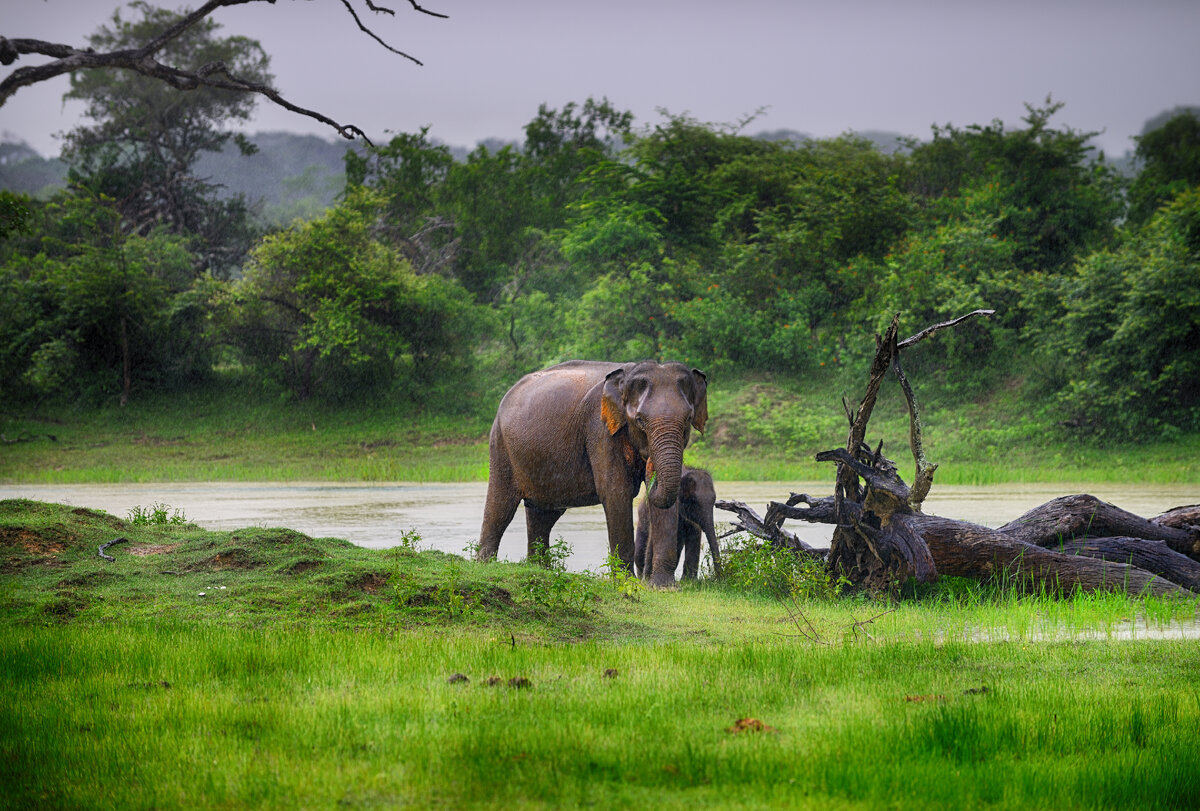 Фото: shutterstock