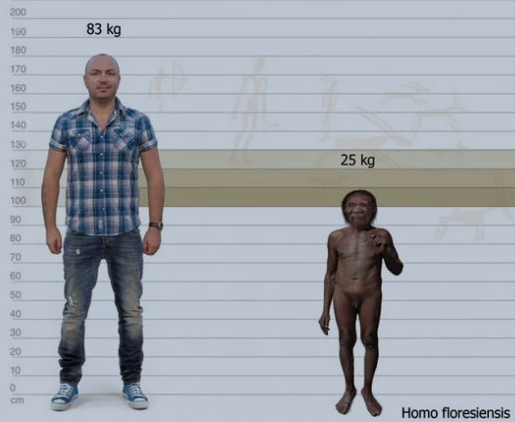 Зачем пропускать женщин вперед - Ведомости