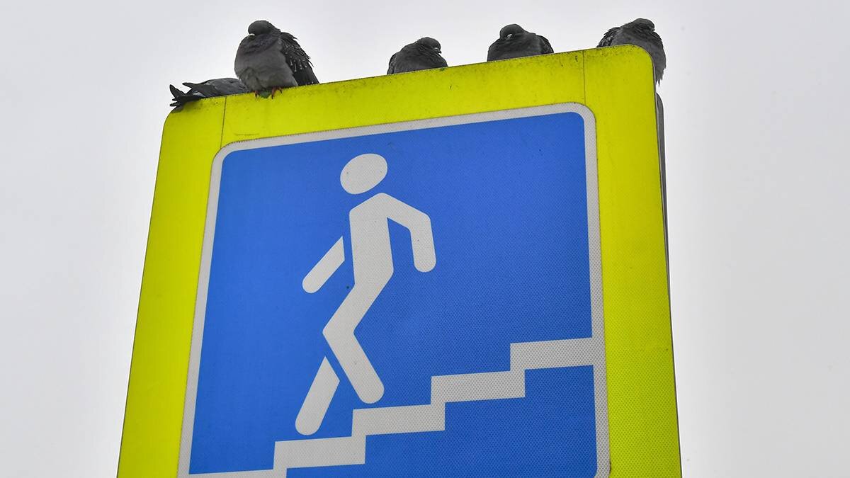    Фото: Сергей Киселев / АГН Москва