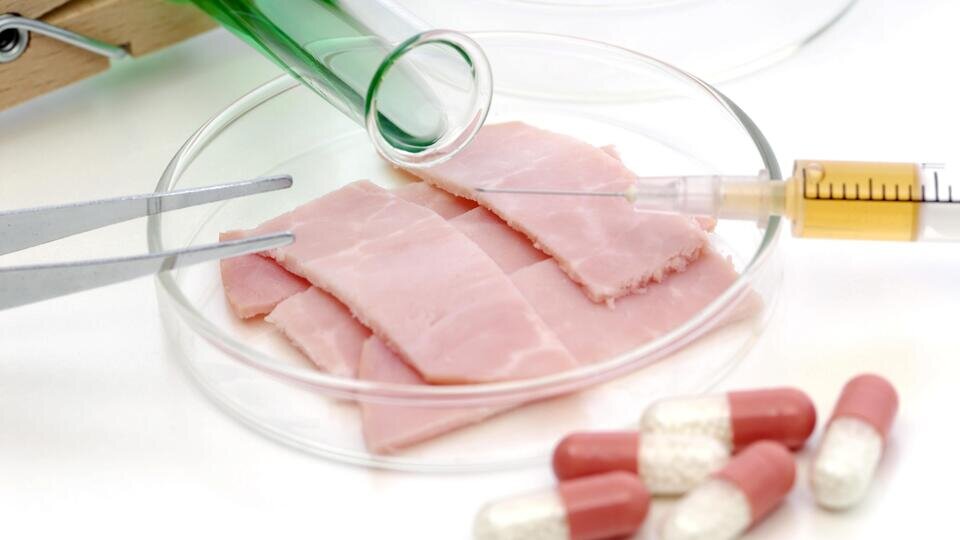     Искусственное мясо: почему оно "завоевало тарелки" и полезно ли Global Look Press/Christian Ohde/imageBROKER.com