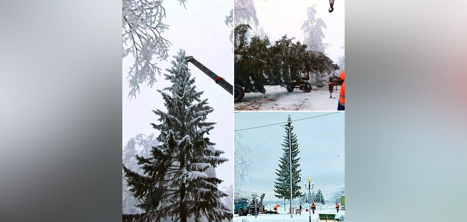     Фото народных корреспондентов