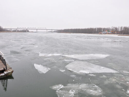    ://olenalex.livejournal