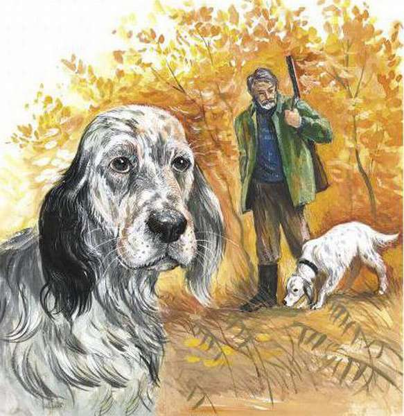 Собаки-охотники