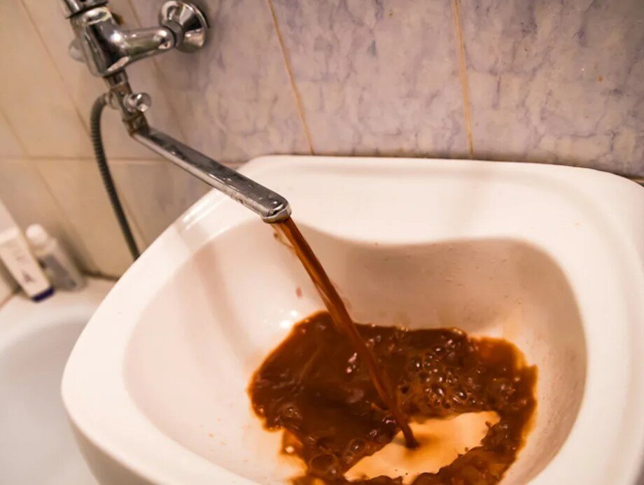 фото взято из поиска Яндекса