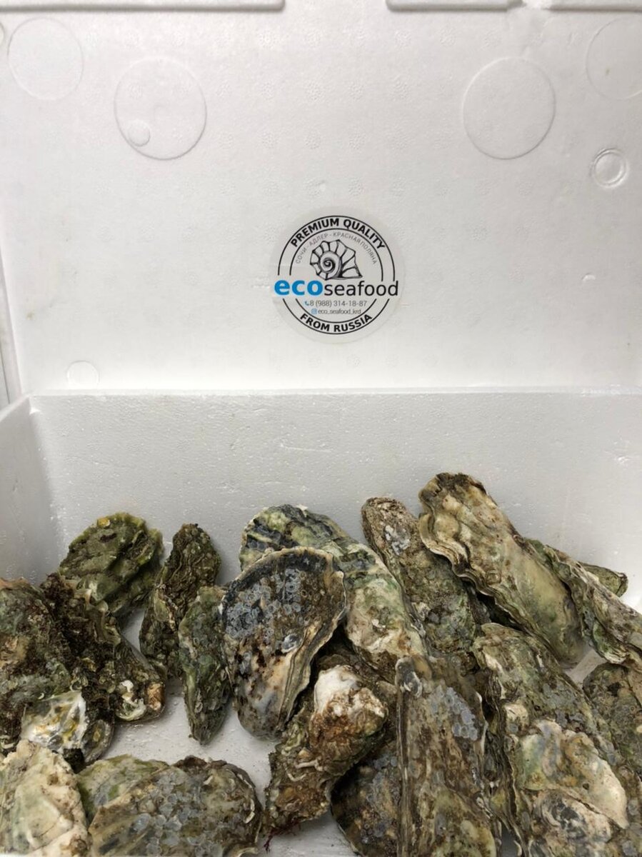 Устрицы из компании ECOseafood