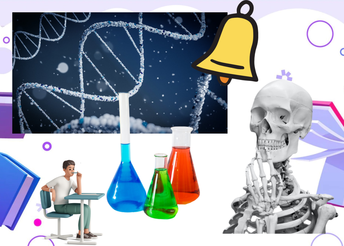 Физика и химия - два отдельных предмета