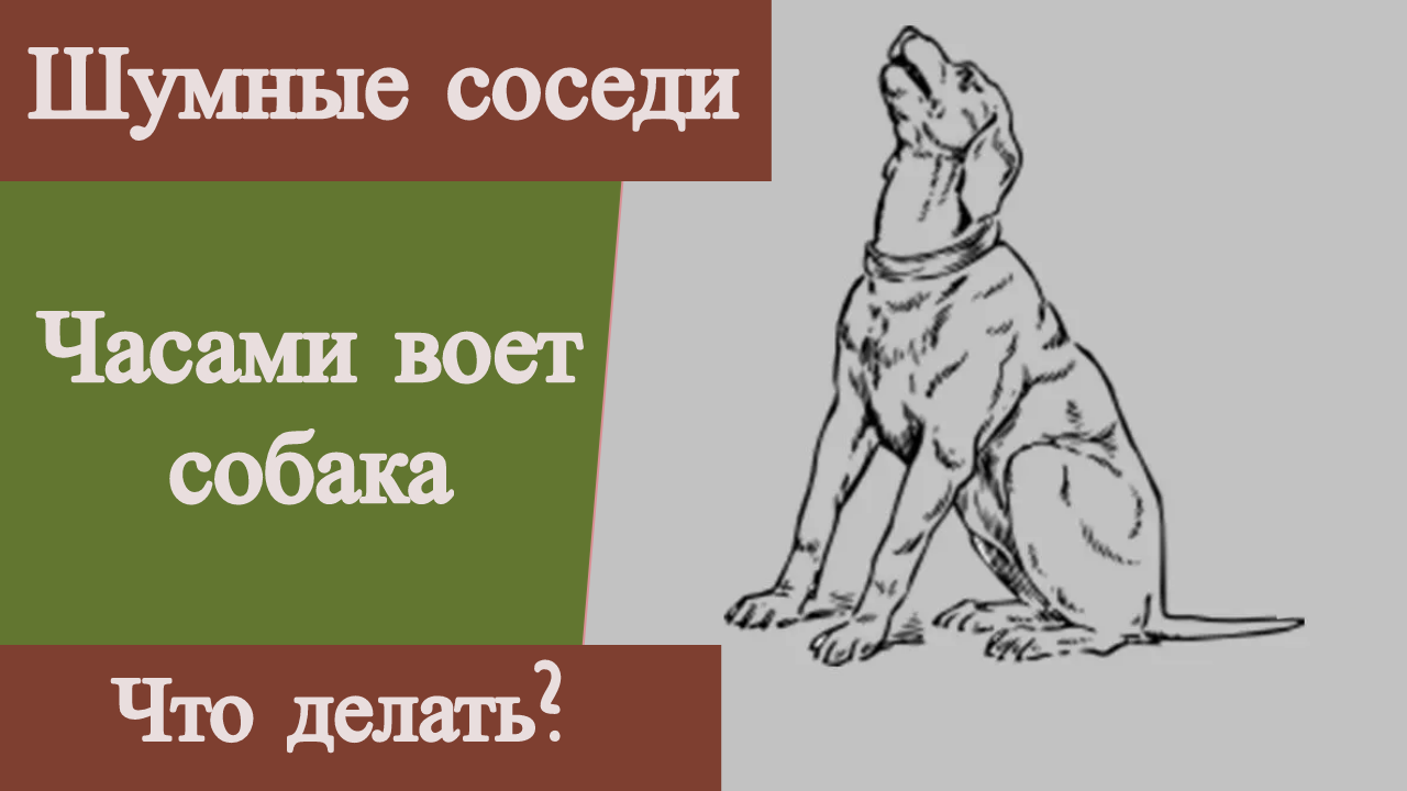 Собака воет. Почему собаки воют. Собака воет что делать. Воет собака у соседей.