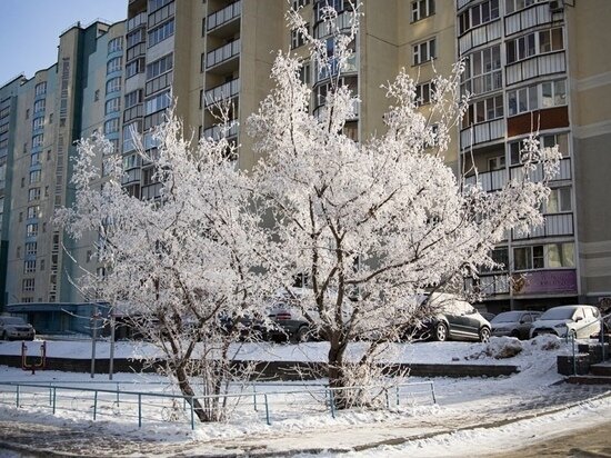     Фото Густаво Зырянова