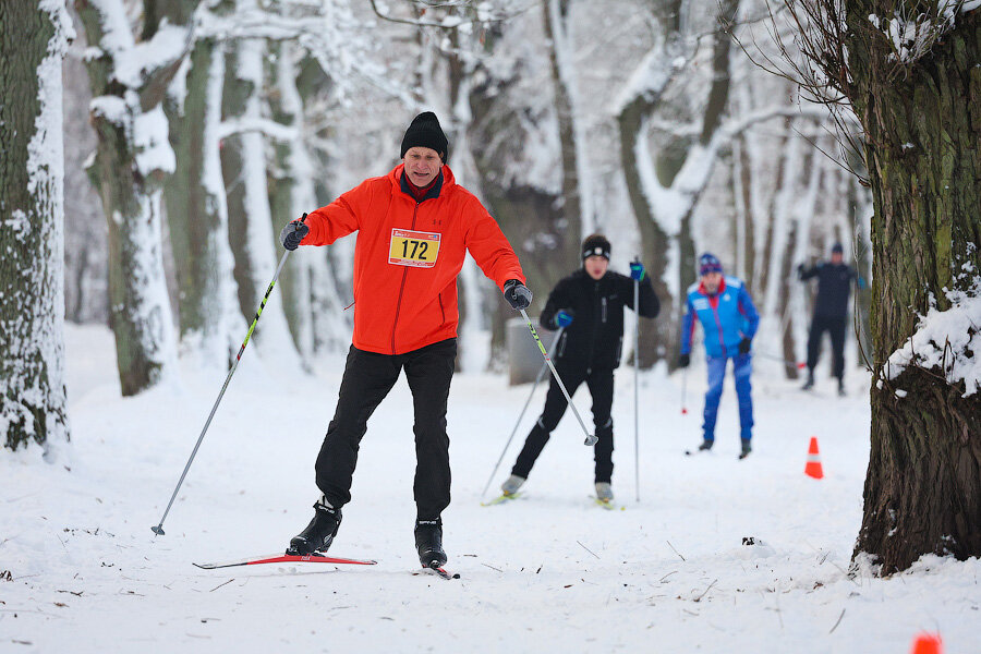 Прогулка на лыжах в лесу. Уступите парню лыжню. Лыжню уступите парню лыжню скорей. Стою на асфальте в лыжи обутый маяковский. Спорт в парке.