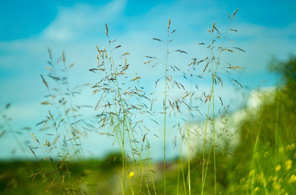 Вл время своих путешествий по России Егор фотографировал природу. Среди снимком преобладают мирные природные пейзажи. Фото: Из архива Егора Скороходова