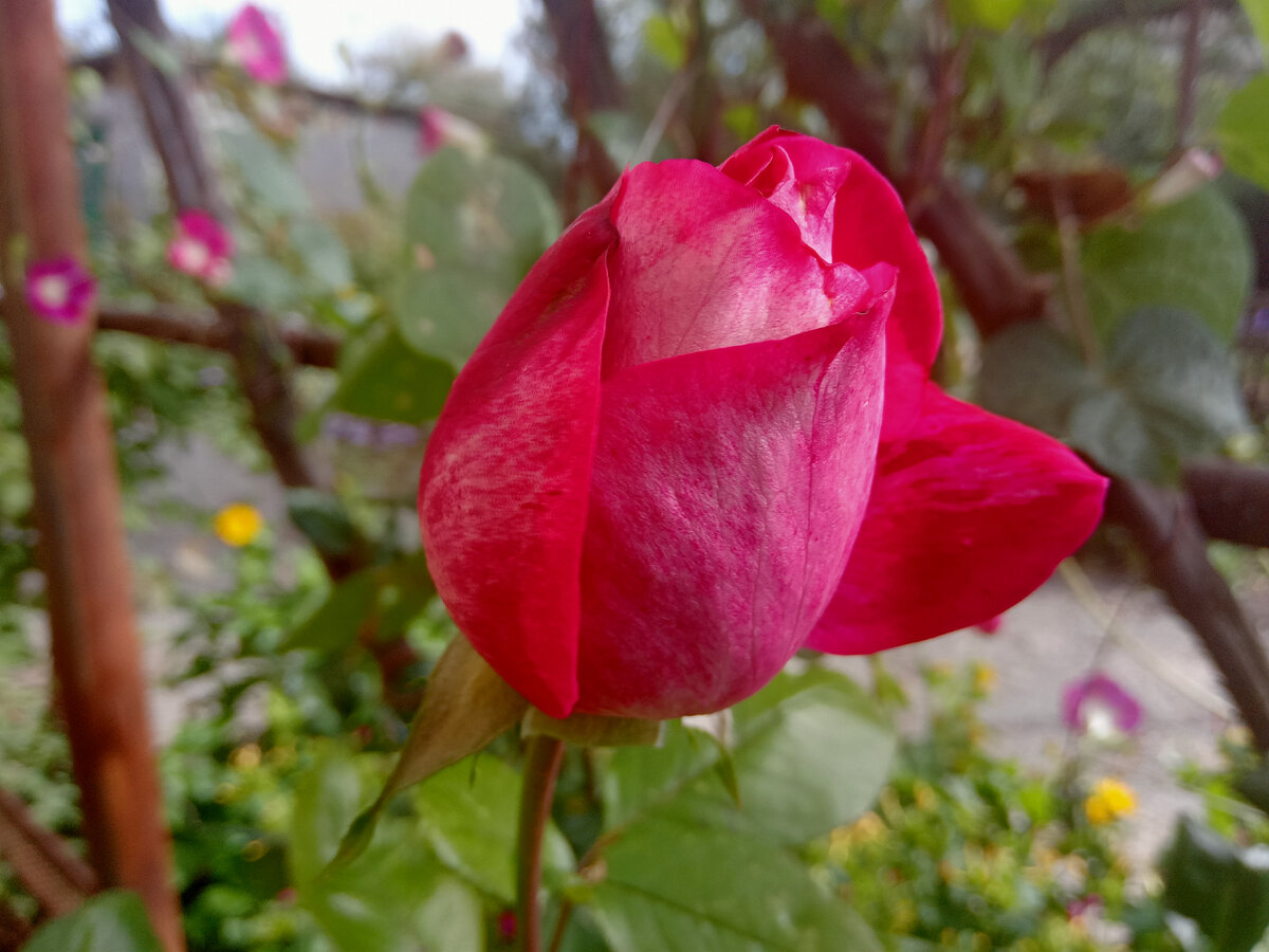 Фото автора.