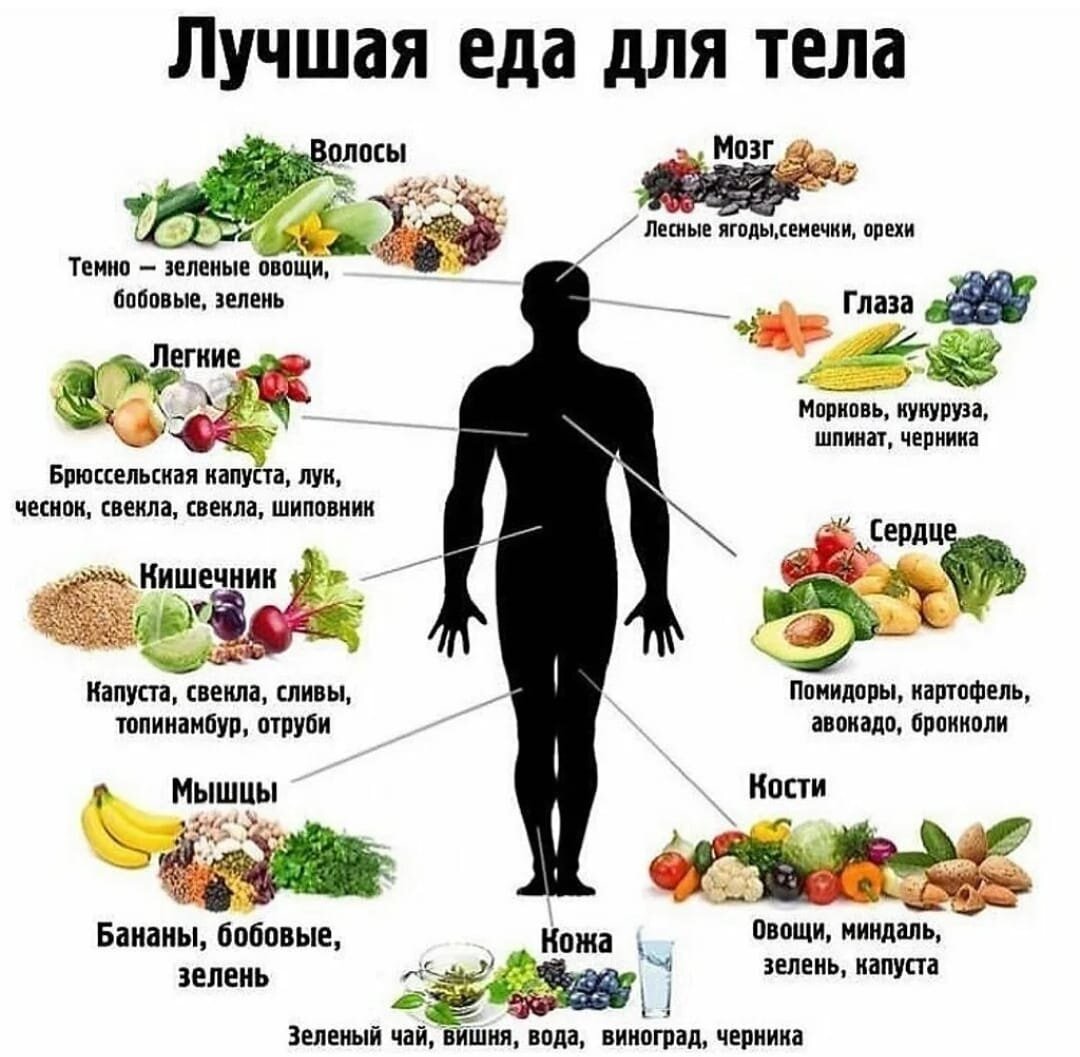 какие продукты способствуют увеличению количества спермы фото 41